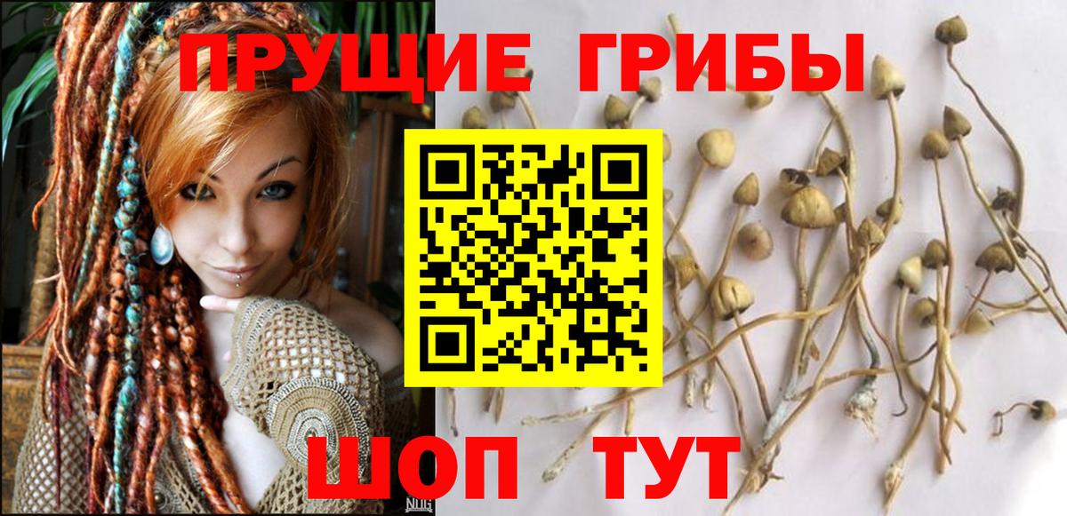 Галлюциногенные грибы мицелий  Вход с VPN  магазин продажи   Орехово-Зуево 