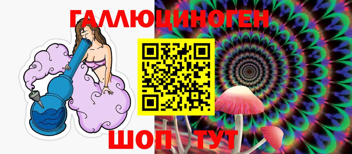 Псилоцибиновые грибы Psilocybe Орехово-Зуево