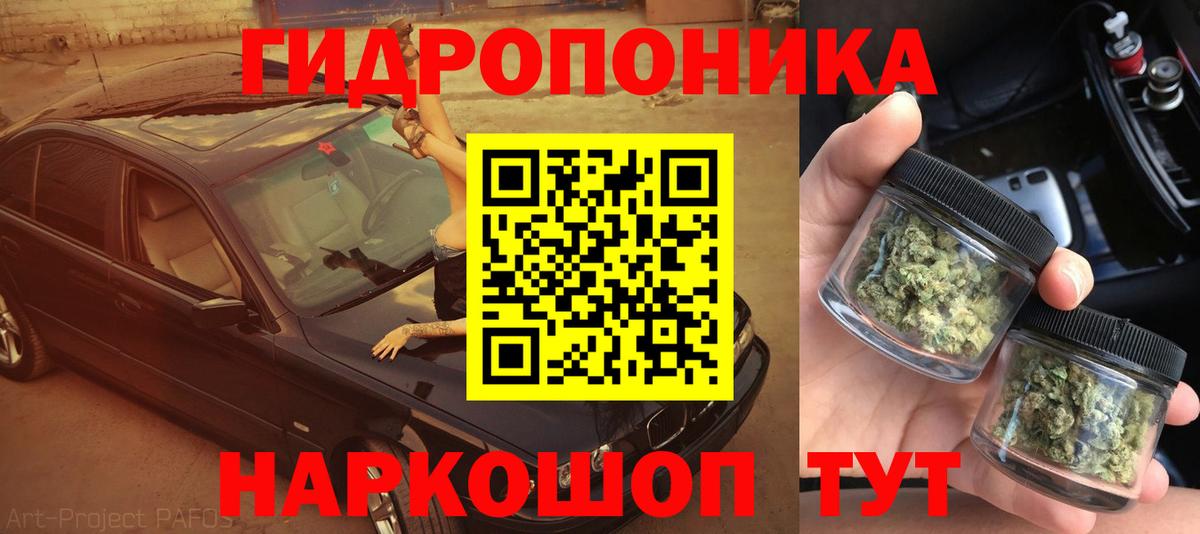 Бошки марихуана план  Бошки Шишки тримм  Орехово-Зуево  Вход с VPN  Конопля OG Kush 